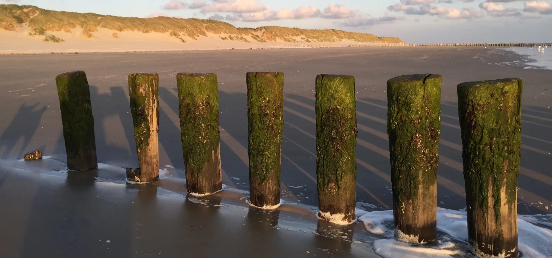 Ameland Horizontour