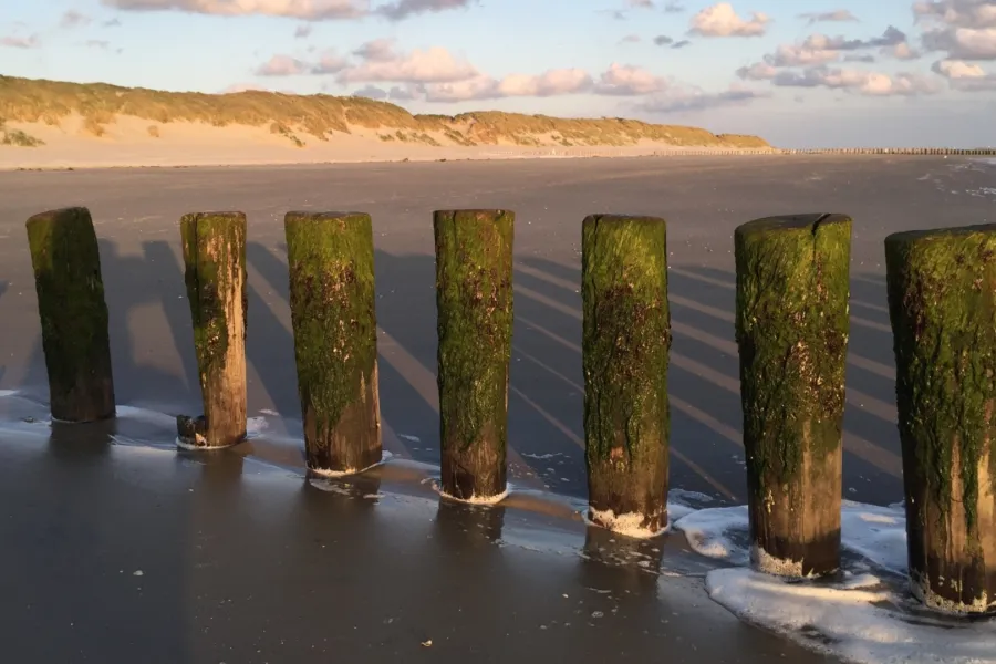 Ameland Horizontour